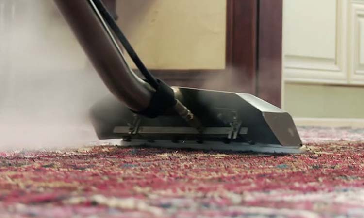 استفاده از بخارشوی برای جمع کردن مو از روی فرش