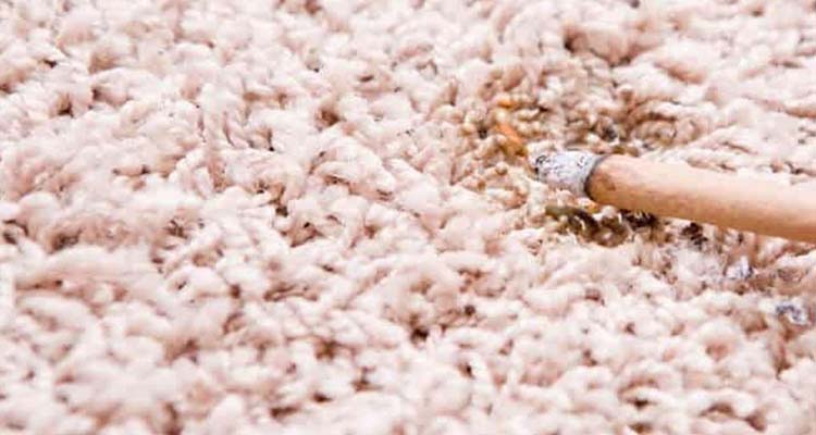 با روش های از بین بردن سوختگی فرش آشنا شوید