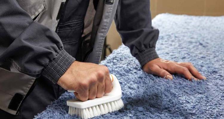 شستشوی موکت در محل با قالیشویی قلهک